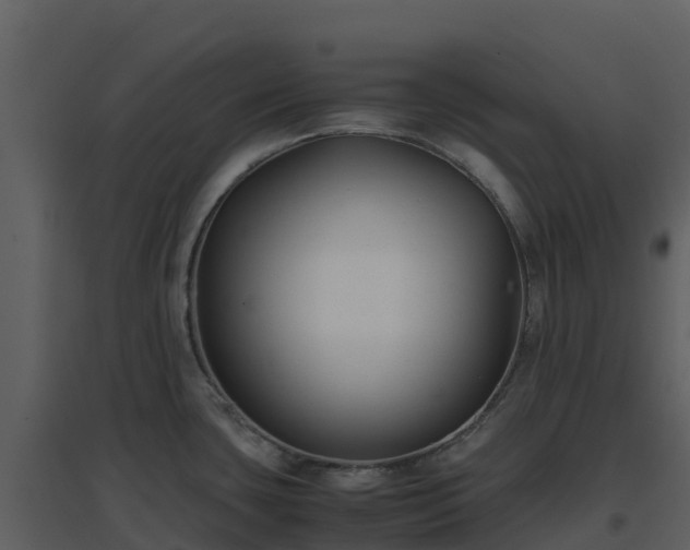 X0000096651435200802121122