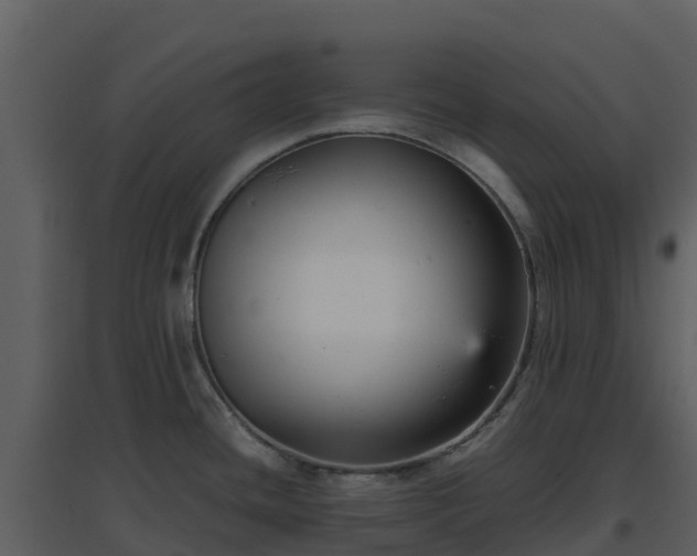 X0000096651436200802121122