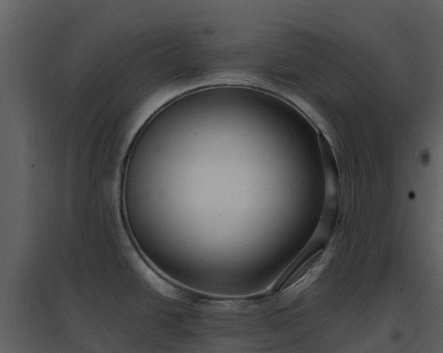 X0000096651438200802121123