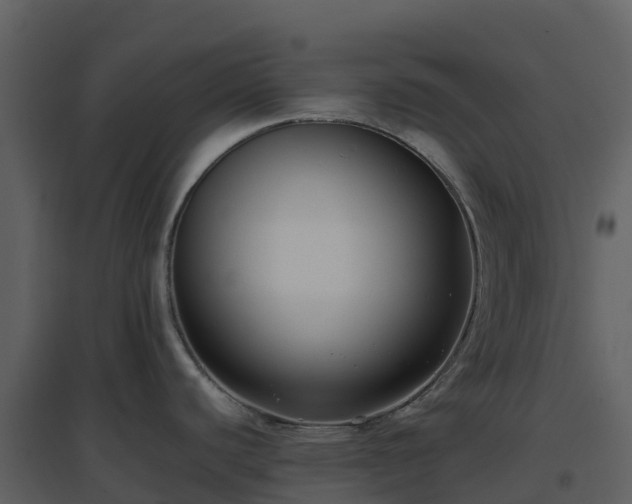X0000096651440200802121123