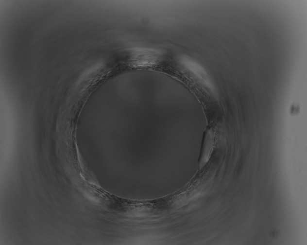X0000096651441200802121122