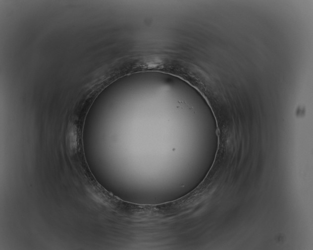 X0000096651442200802121122