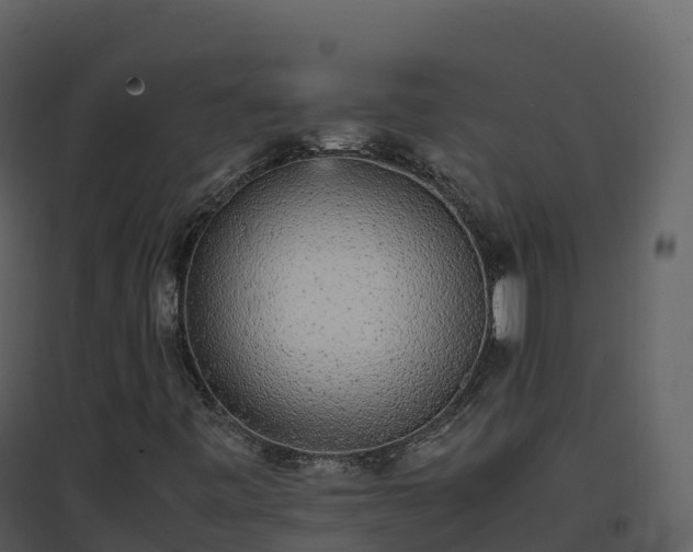 X0000096651443200802121122