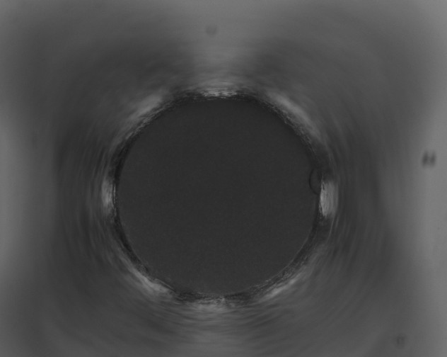 X0000096651444200802121122