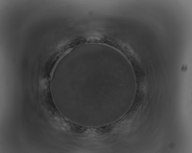 X0000096651445200802121122