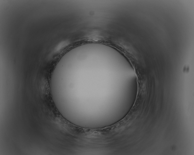 X0000096651446200802121122