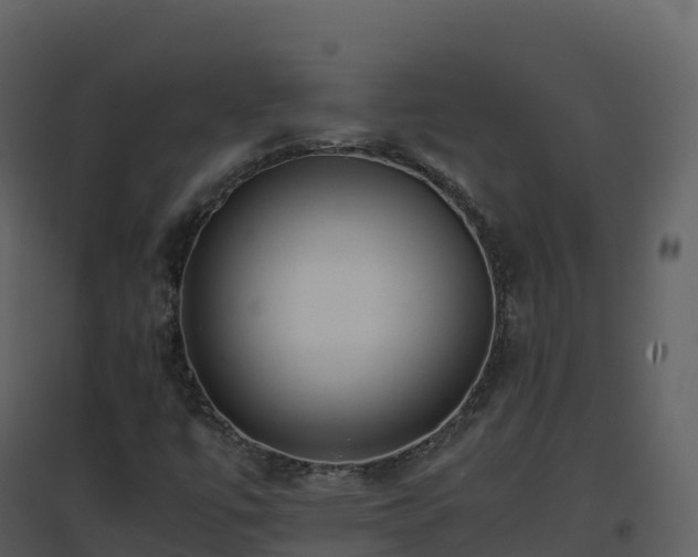 X0000096651447200802121122