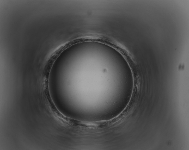 X0000096651448200802121122