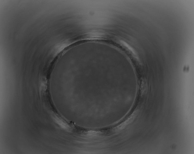 X0000096651449200802121122