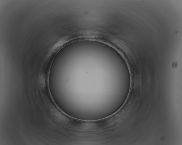 X0000096651451200802121122