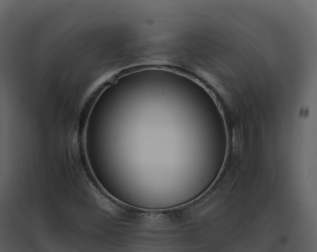 X0000096651452200802121122