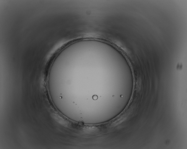 X0000096651454200802121122