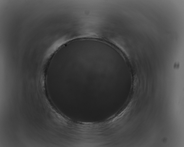 X0000096651455200802121122