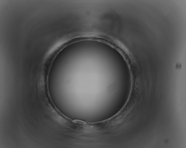 X0000096651456200802121122