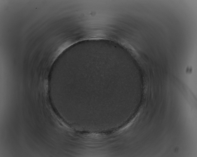 X0000096651457200802121122