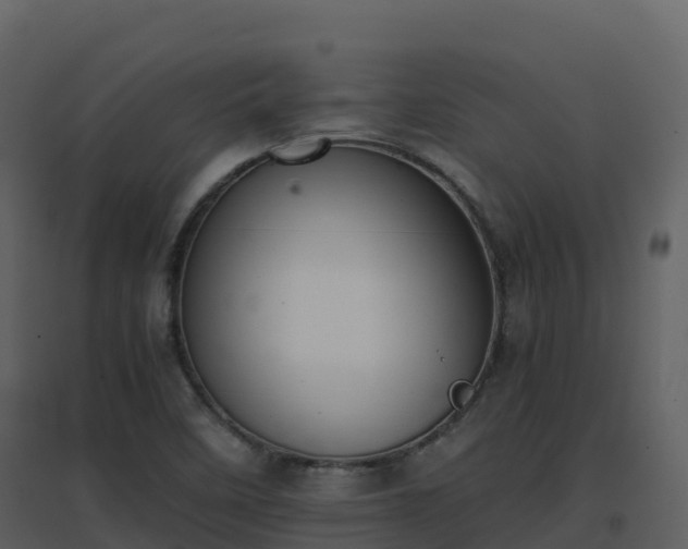 X0000096651458200802121122