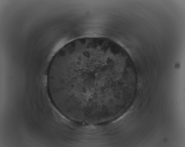 X0000096651459200802121122