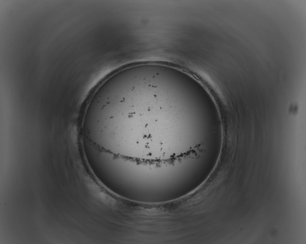 X0000096651460200802121122