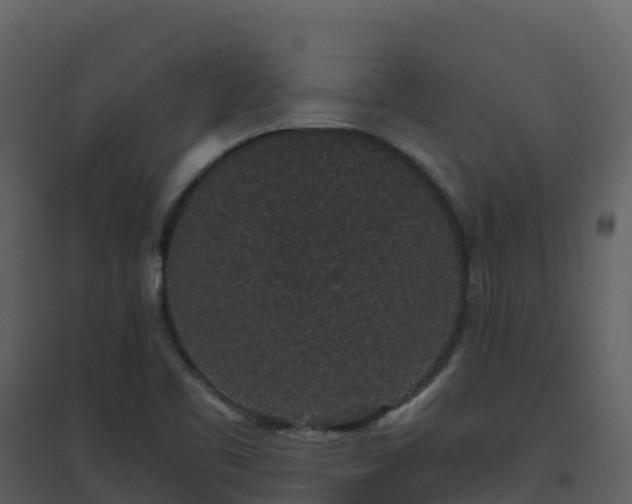 X0000096651461200802121122
