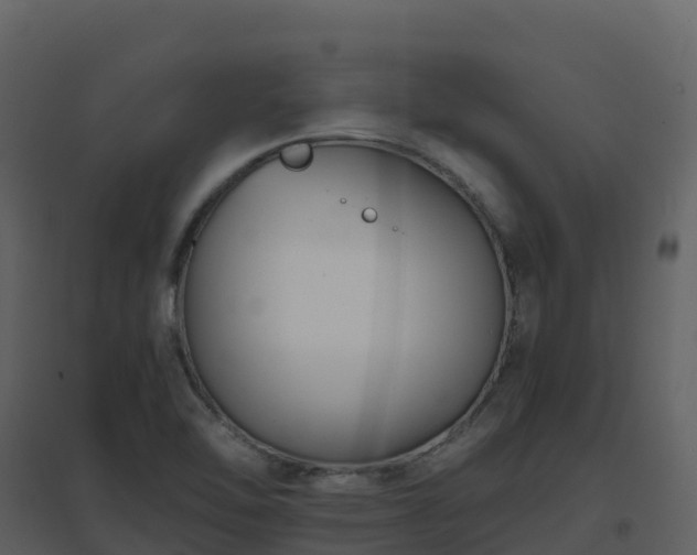 X0000096651462200802121122