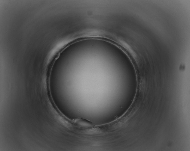 X0000096651464200802121122