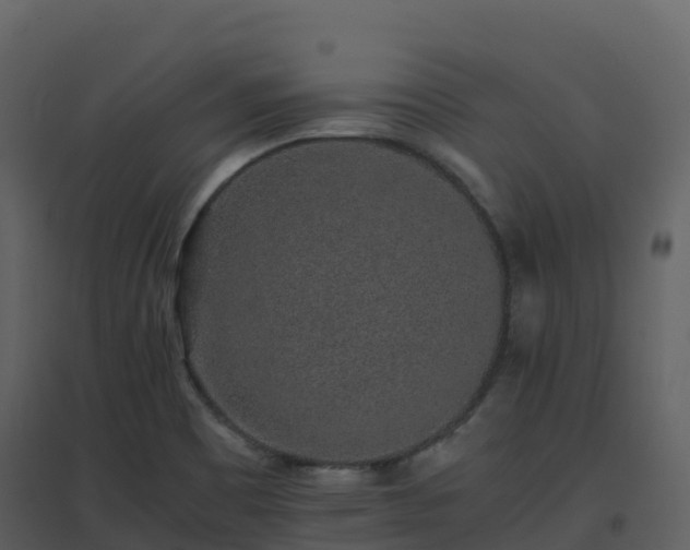 X0000096651465200802121122