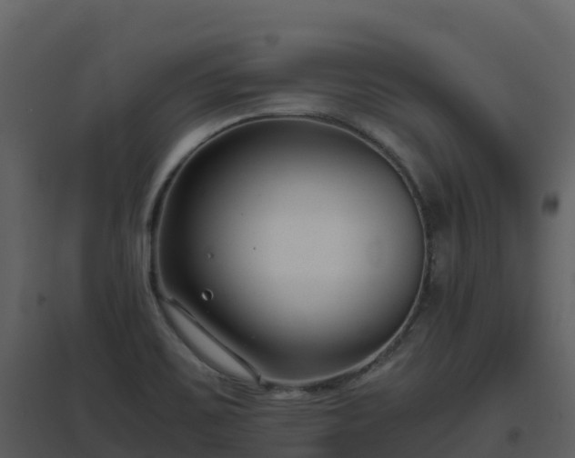 X0000096651467200802121121