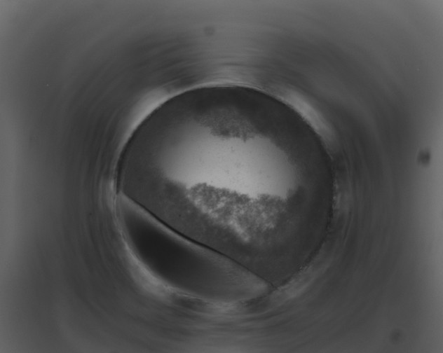 X0000096651468200802121121