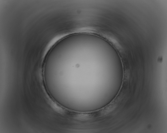 X0000096651470200802121121
