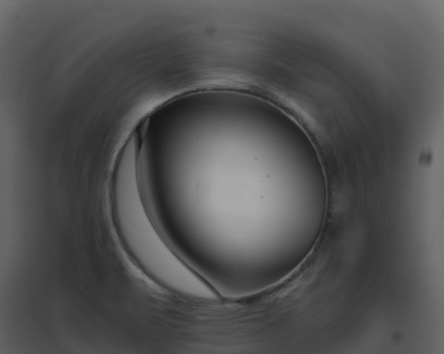 X0000096651471200802121121