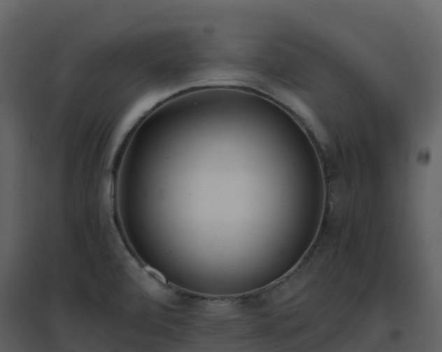 X0000096651472200802121121