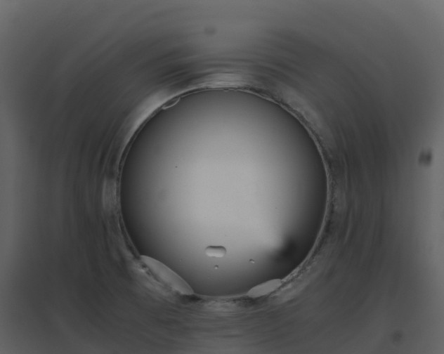 X0000096651473200802121121