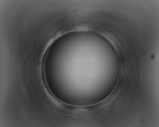 X0000096651475200802121121