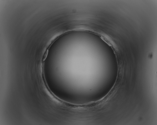X0000096651476200802121121