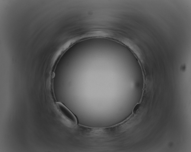 X0000096651477200802121121