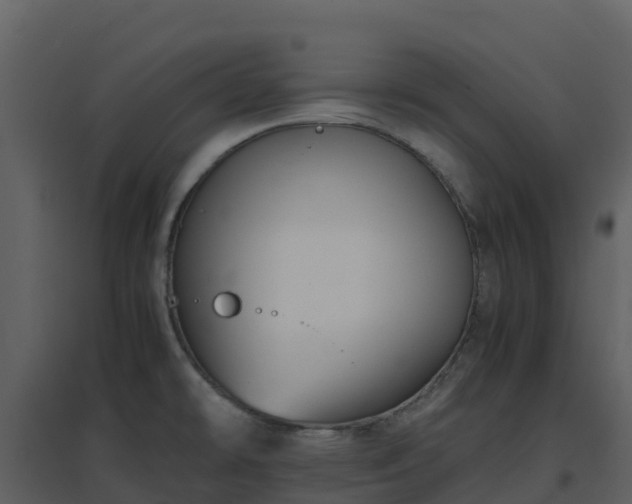X0000096651478200802121121