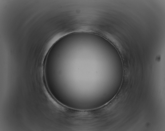 X0000096651479200802121121