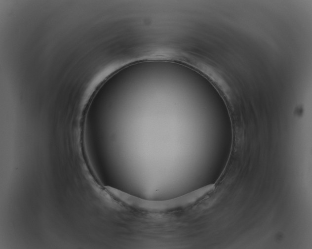 X0000096651480200802121121