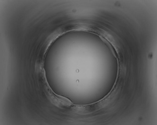 X0000096651481200802121121
