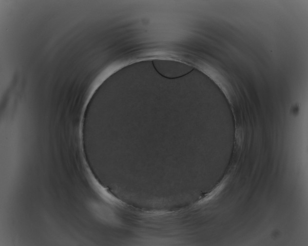 X0000096651482200802121121
