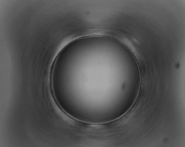 X0000096651483200802121121