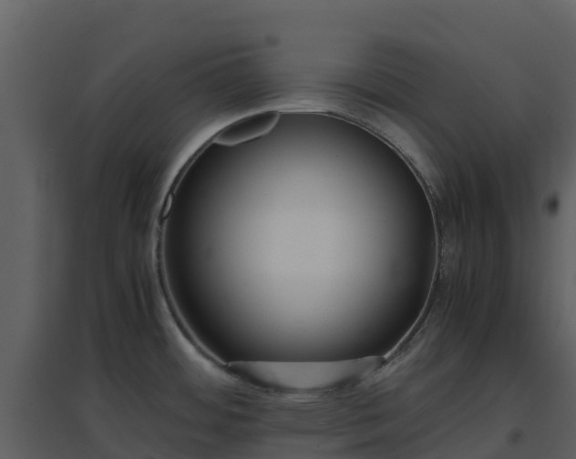 X0000096651484200802121121