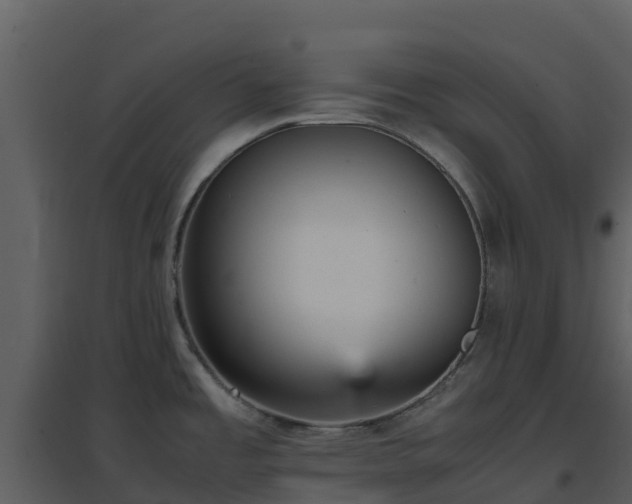 X0000096651485200802121121
