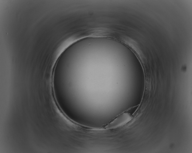X0000096651487200802121121