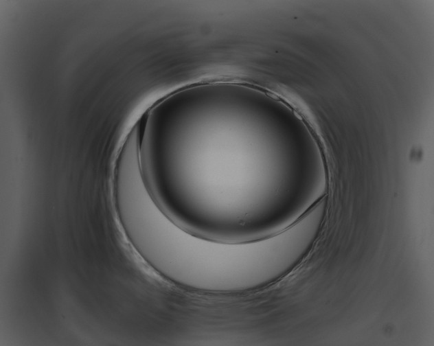 X0000096651488200802121121