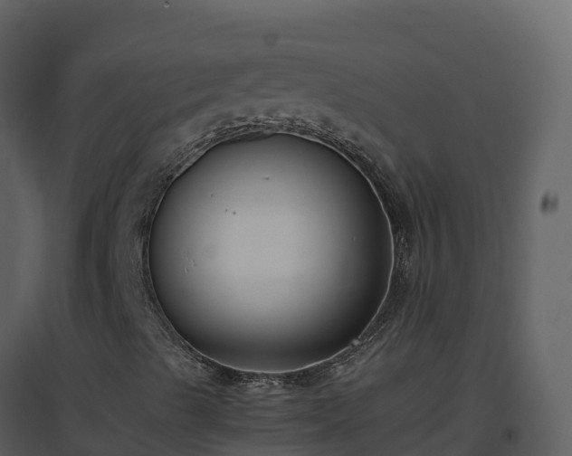 X0000096651489200802121121