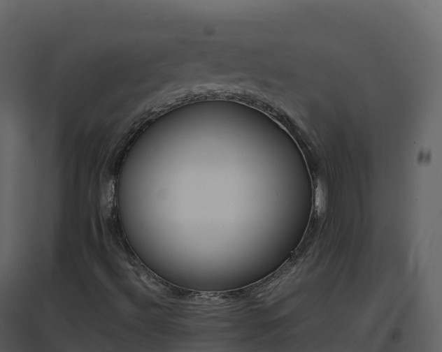 X0000096651492200802121121