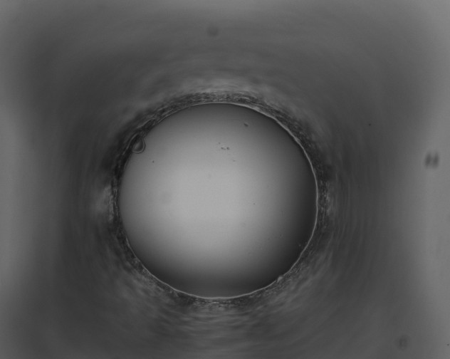 X0000096651493200802121121