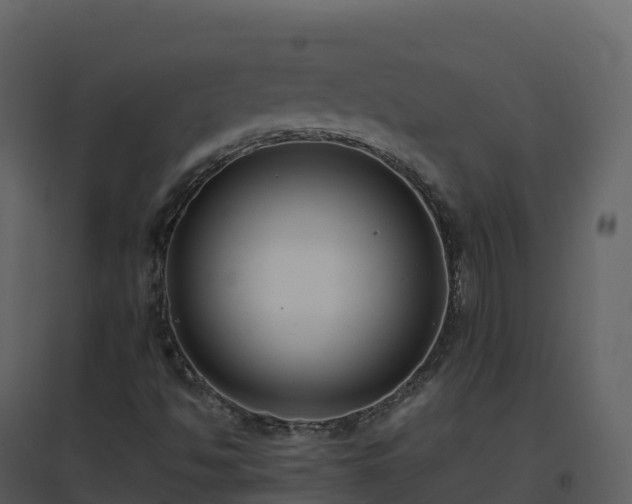 X0000096651494200802121121