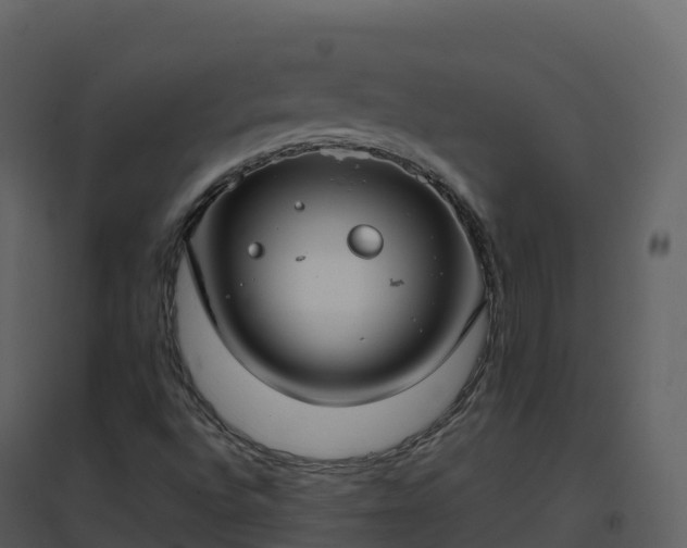 X0000096651496200802121121